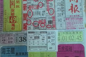 3/5 中國新聞報  六合參考