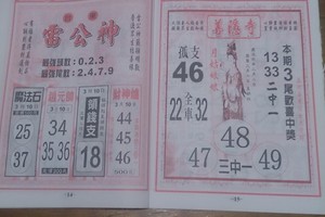 3/10 雷公神+善隱寺  六合參考