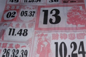 4/5 大樹公+福多寶  六合參考