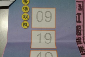 4/30 香港明數  六合參考