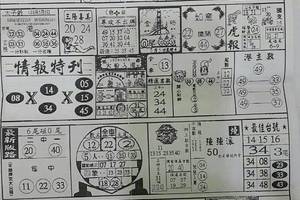 5/5 情報特刊  六合參考