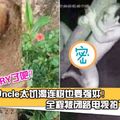 【连一棵树都不放过？】Uncle太DRY竟然强奸一棵树！全程被闭路电视拍下！