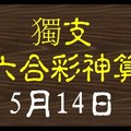 [六合彩神算] 5月14日 獨支 10期版路分析(所有期數)