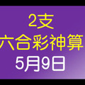 [六合彩神算] 5月9日 3支 10期版路分析(所有期數)