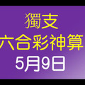 [六合彩神算] 5月9日 獨支 10期版路分析(一年)