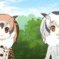 《動物朋友》與 Animelo Summer Live 合作影片釋出 跟著博士一起遵守演唱會禮儀