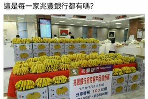 銀行出自善意想幫助蕉農，但因人性的貪婪，卻演變成史上失控之『黃香蕉之亂』