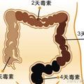 便秘“堵”的慌？一招快速排空肚子里的垃圾，每天“一泻千里”！