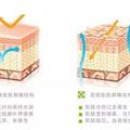 难怪你的皮肤那么干燥！17种保湿方法你懂吗？网友评论：太有用了