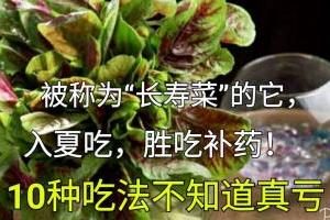 稱為「長壽菜」的它，入夏吃，勝吃補藥！10種吃法不知道真虧