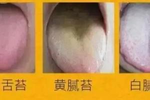 濕氣重造成體內毒素瘀積，3個穴位巧妙除濕，排凈體內10年濕毒！