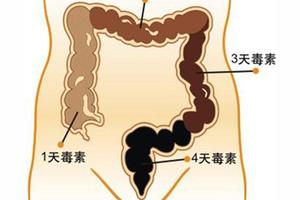 女人把体内这些脏东西排出来，体重至少轻10斤！