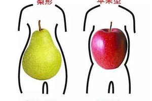 大腹便便怎么办？如何才能改善腹部肥胖？这里有你想要的答案