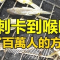 分享！魚刺卡到喉嚨救了百萬人的方法！