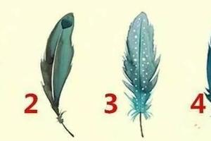 超簡單心理測試：選一根羽毛，測測你哪點魅力吸引人？