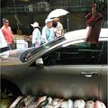 惡劣駕駛車停攤位一整天　魚販無奈嘆「討口飯吃」