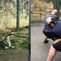 動物園拔河大戰！3猛男「崩潰」輸2歲小獅：完全拉不動