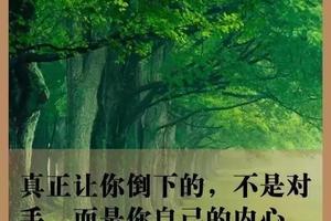 如果你幹事業累了，請看這9張圖