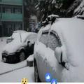 玉山合歡山持續降雪冰封 合歡積雪十公分