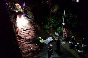 台大驚傳駭人兇殺案 一死三傷