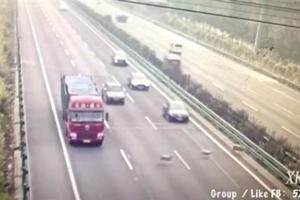 3羊闖車道釀車禍　4人下車查看慘死