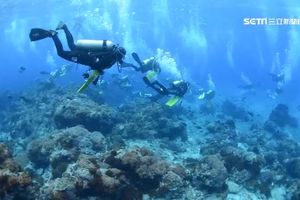 男綠島旅遊浮潛　意外溺水送醫不治