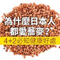 為什麼日本人都愛蕎麥？4＋2必知健康好處