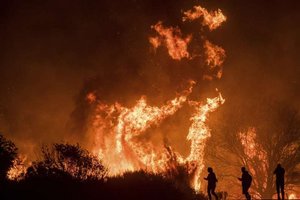 南加州野火燒不盡》街友非法生火煮飯釀災害 氣候乾燥助長火勢蔓延