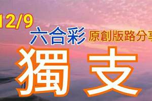 12/9 六合彩 原創版路分享 免費公開 精選獨支  會合請用 參考看看 不強求 ! !