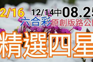 12/16 六合彩  原創雙拖版路分享 12/9 中 29 12/12 中 34 12/14 中 08.25  精選四星...