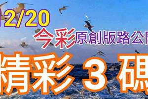 12/20 金彩539 原創版路分享 精選三碼 無私公開 三中一  有看有保庇  ! !