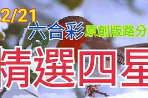 12/21 六合彩  原創雙拖版路分享 精選四星 無料公開 會合請用 ! !