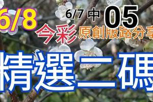 今彩539  6/8 精選二碼 6/7中05 二中一 請點圖看看 !