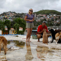 波多黎各「水淹到脖子」！夫妻堅持留下　跳水救貓狗寶貝