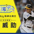 阪神6月5日舉辦「台灣日」！林威助重返甲子園開球