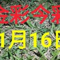 $金彩今彩$ 今彩539--11月16日加減版路號碼大公開