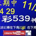 [今彩539神算] 11月20日 上期中14 29 5支 單號定位 雙號 拖牌