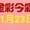 $金彩今彩$ 今彩539--11月23日連續版路號碼揭密