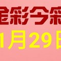 $金彩今彩$ 今彩539--11月29日連續版路號碼揭密