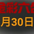 ◆金彩六合◆六合彩 11月30日連開孤支版路 （2）