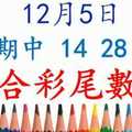 六合彩尾數王 12月5日 上期中 14 28 46 版路預測版本2 準8進9 不斷版