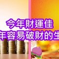 今年財運佳，明年容易破財的生肖