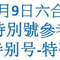 六合12月9日六合彩特別號參考-特别号-特码参考