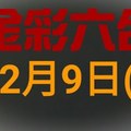 ◆金彩六合◆六合彩 12月9日連開孤支版路 （1）