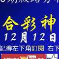 [六合彩神算] 12月12日 2支 10期版路分析