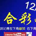 [六合彩神算] 12月12日 3支 單號定位 雙號 拖牌