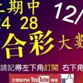 六合彩大數據 12月19日 上期中24 28 4支同開版路