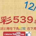 今彩539神算] 12月20日 5支 單號定位 雙號 拖牌