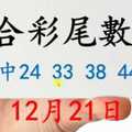 六合彩尾數王 12月21日 上期中24 33 38 44 49 版路預測版本1 準11進12 不斷版