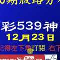 [今彩539神算] 12月23日 2支 10期版路分析